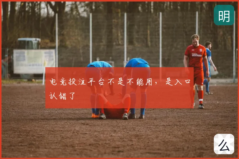 电竞投注平台不是不能用,是入口认错了
