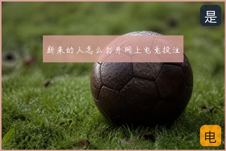 新来的人怎么打开网上电竞投注